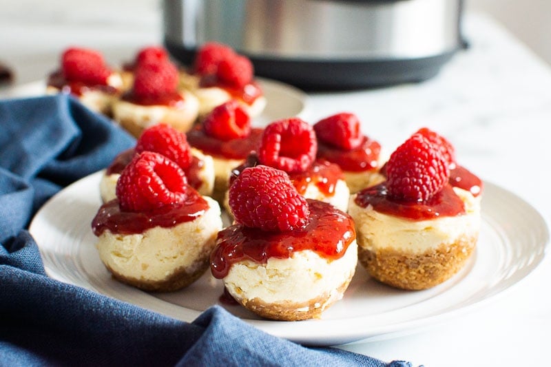 instant pot cheesecake bites with raspberries on white plate