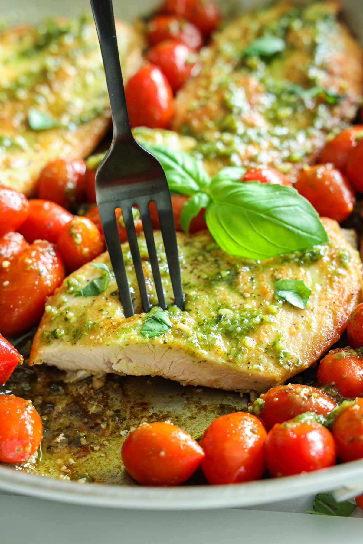 Pesto chicken breast on a fork, grape tomatoes around and fresh basil as garnish.