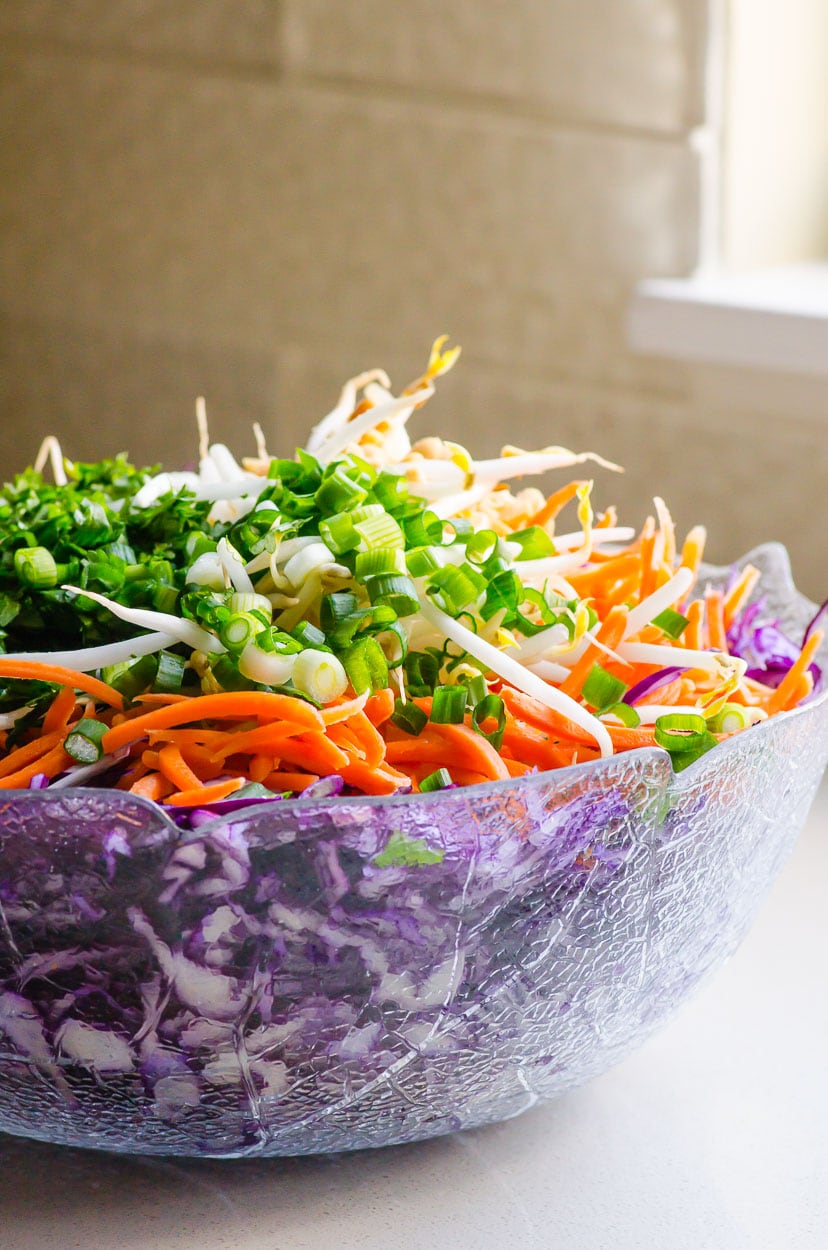 Red cabbage, shredded carrots, bean sprouts, green onion, cilantro in glass bowl.