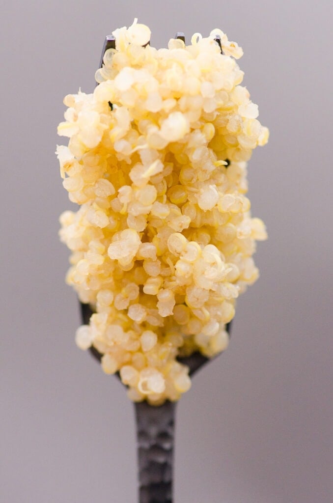 quinoa on a fork