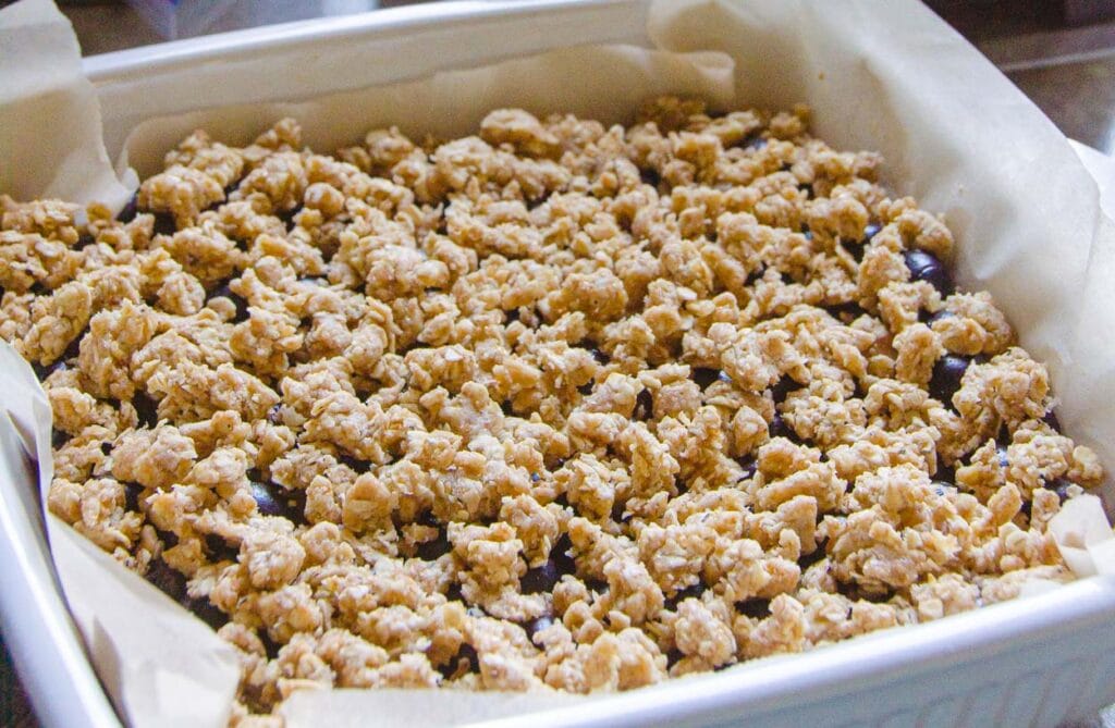 Blueberry Oatmeal Bars - iFoodReal.com