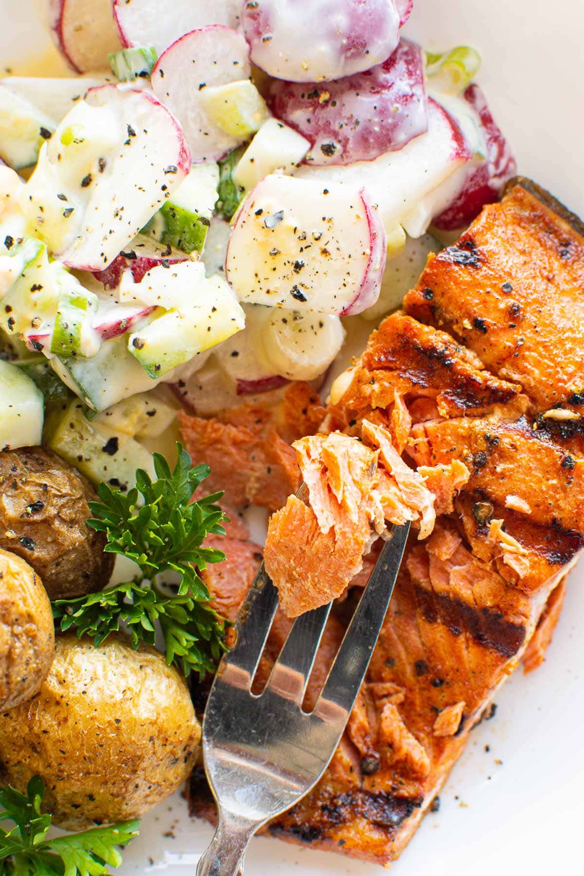 Grilled salmon on a fork and radish salad on a plate.