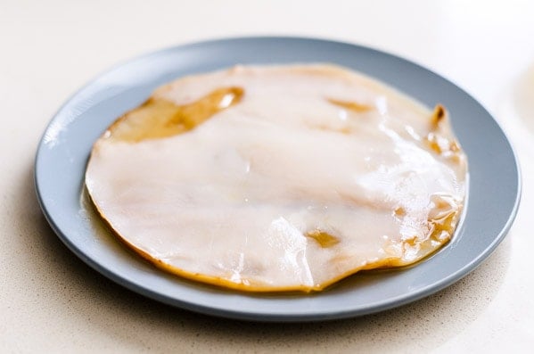 scoby on a plate