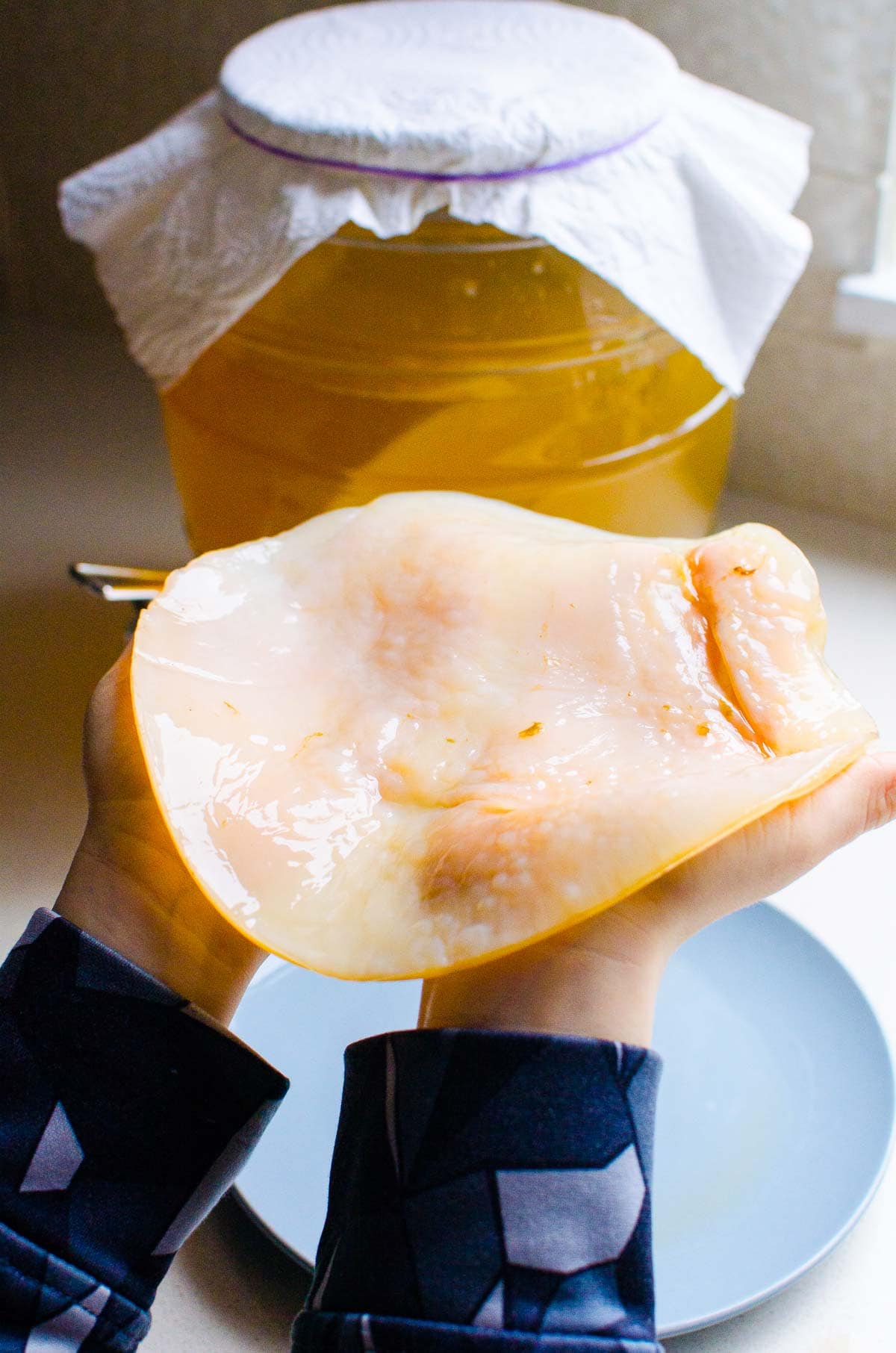 How to Make Kombucha Scoby