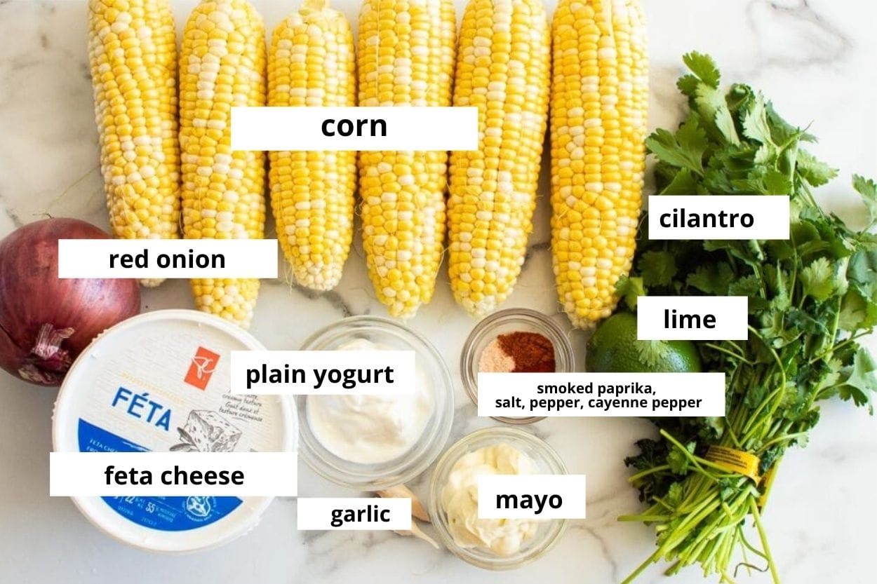 Corn on the cob, red onion, cilantro, lime, mayo, yogurt, garlic, and bowl of spices.