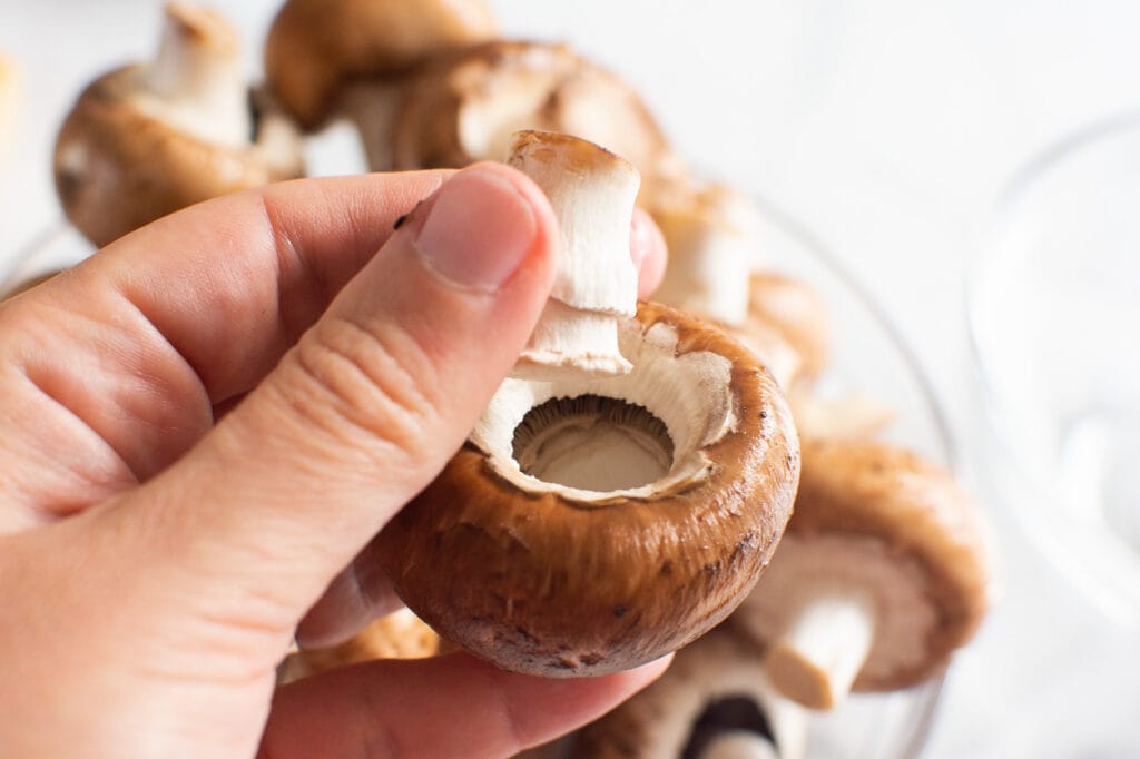 Removing stem from a brown mushroom.