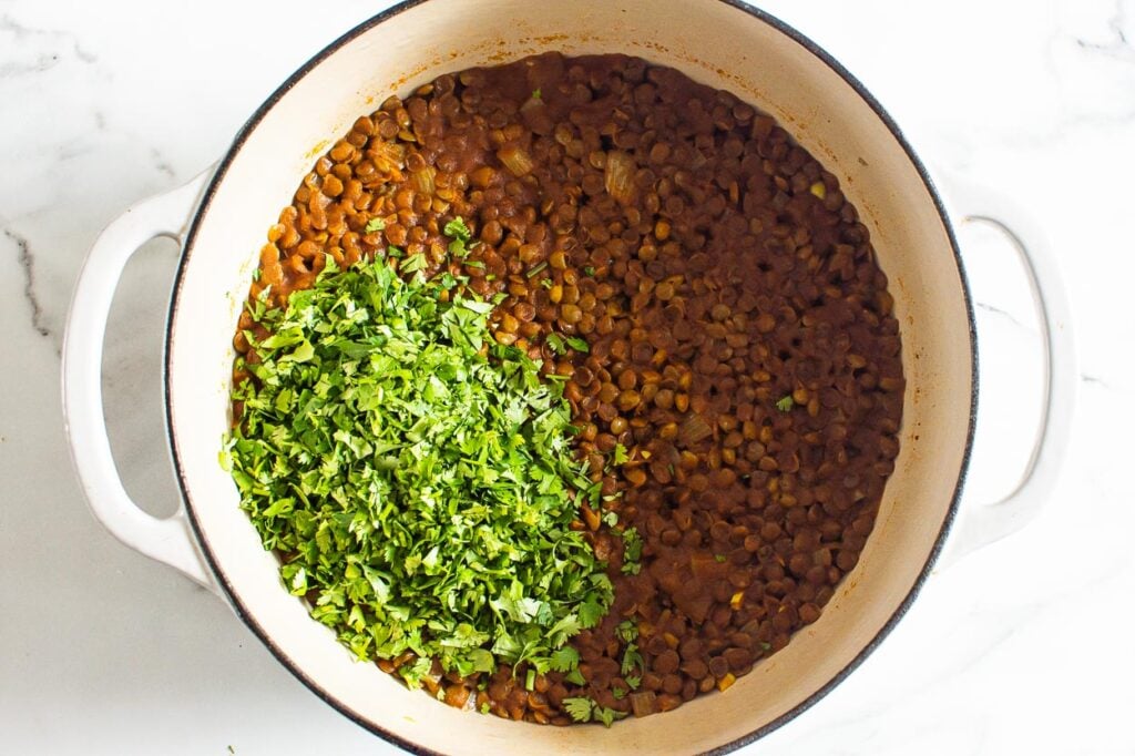 green lentil curry with cilantro garnish