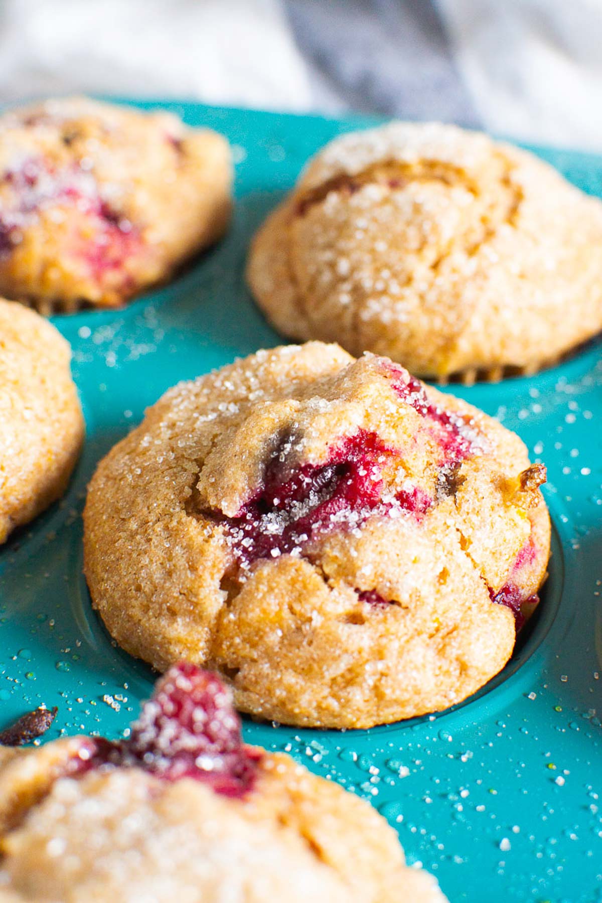 close up of cranberry muffins dusted with sugar in a muffin tin