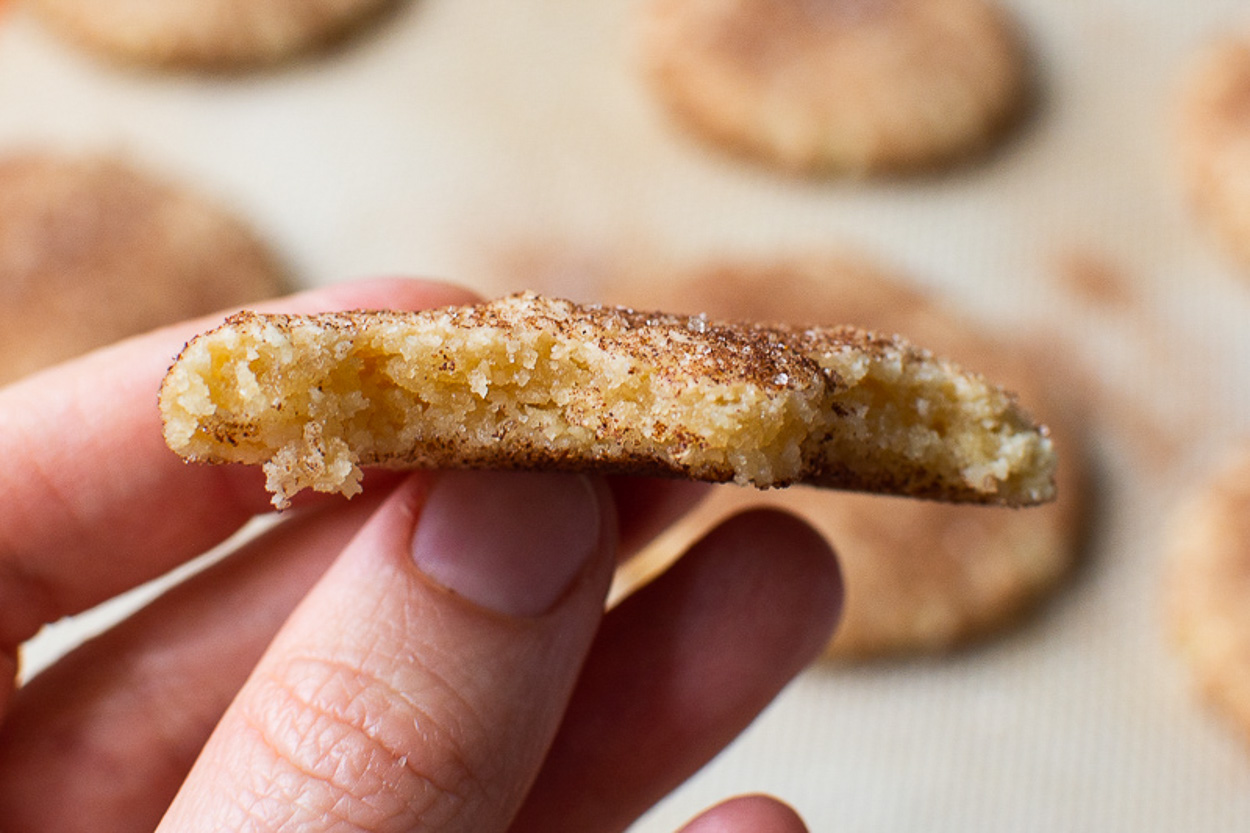 gluten free snickerdoodles  with a bite taken out of and being held