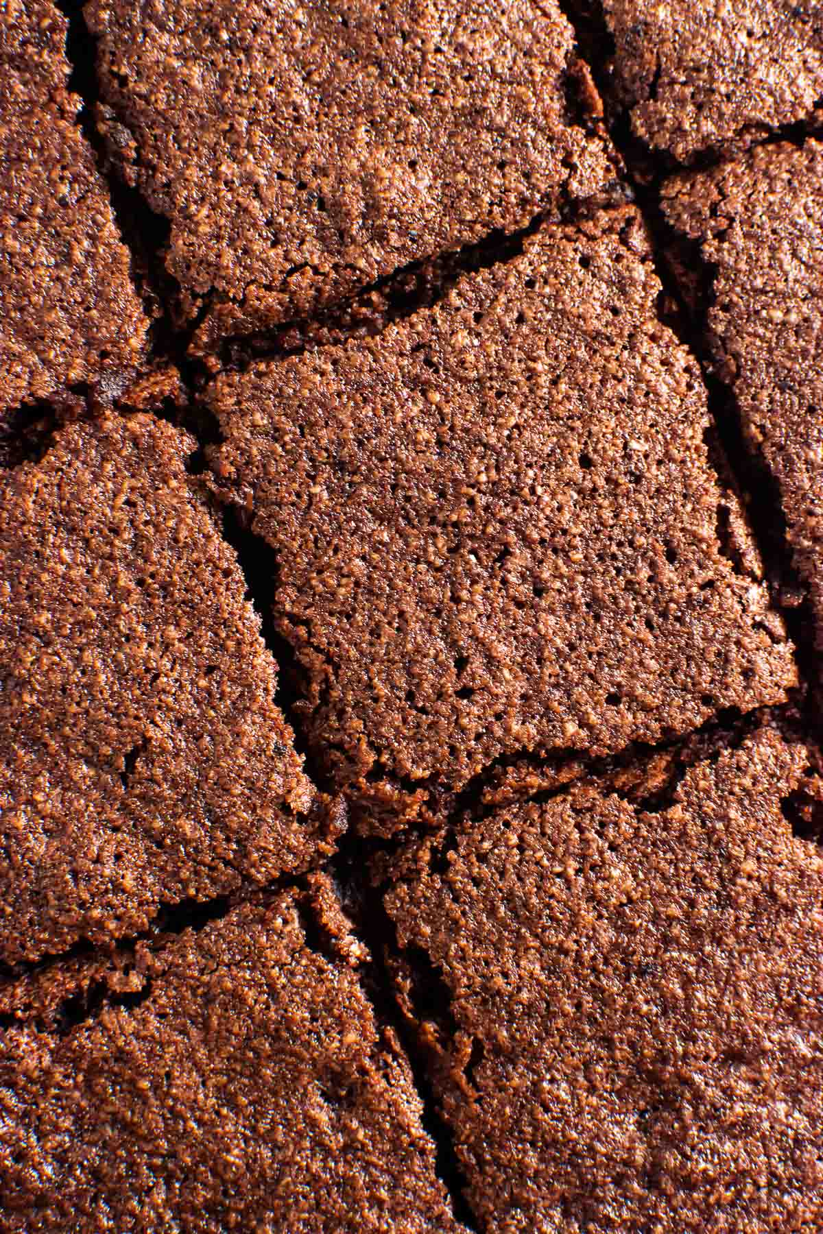 Brownies cut into squares for serving.