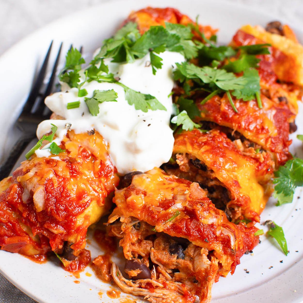 healthy chicken enchilada recipe baked in oven and ready to eat