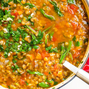 lentil spinach soup in stock pot with spoon