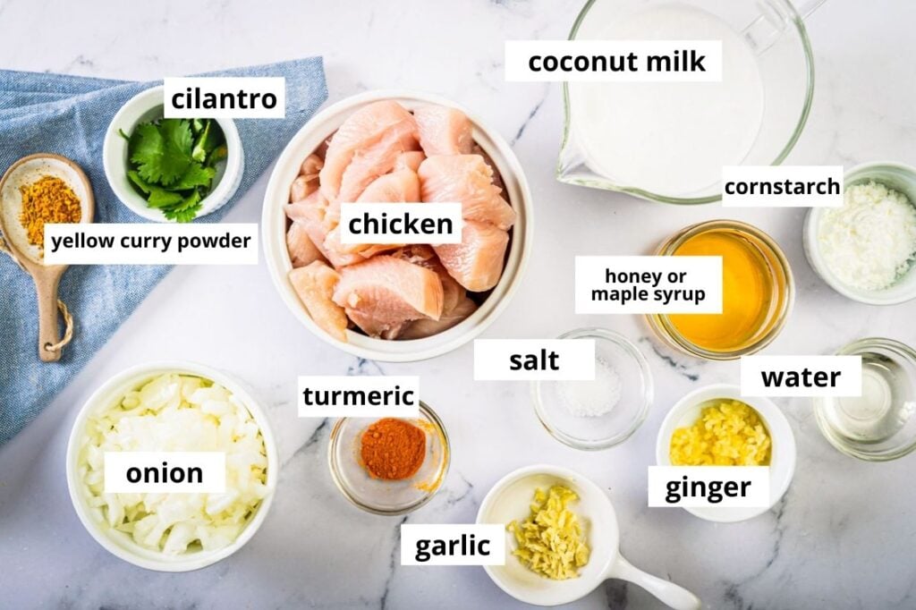 chicken curry ingredients with coconut milk and indian spices