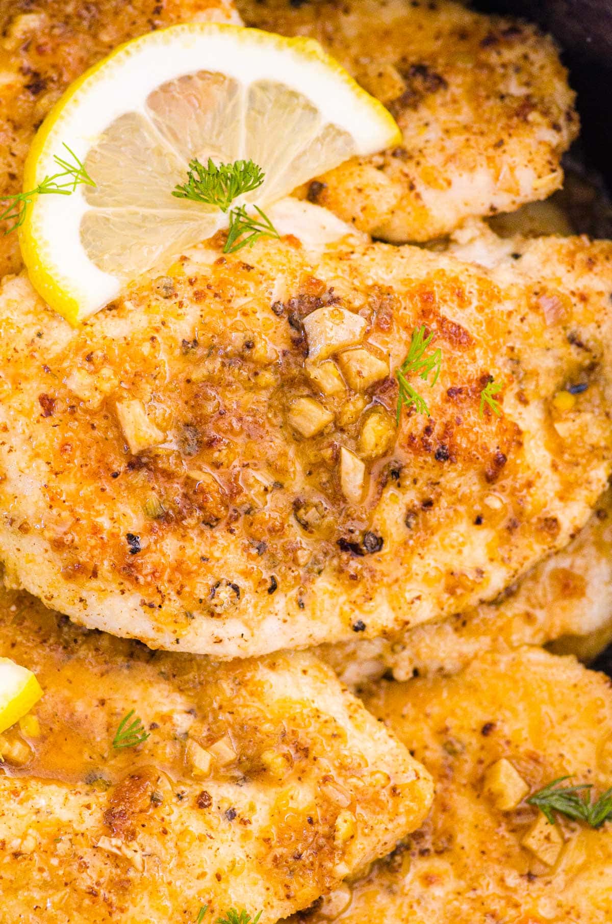 Closeup of lemon chicken breasts with garlic, lemons and dill.