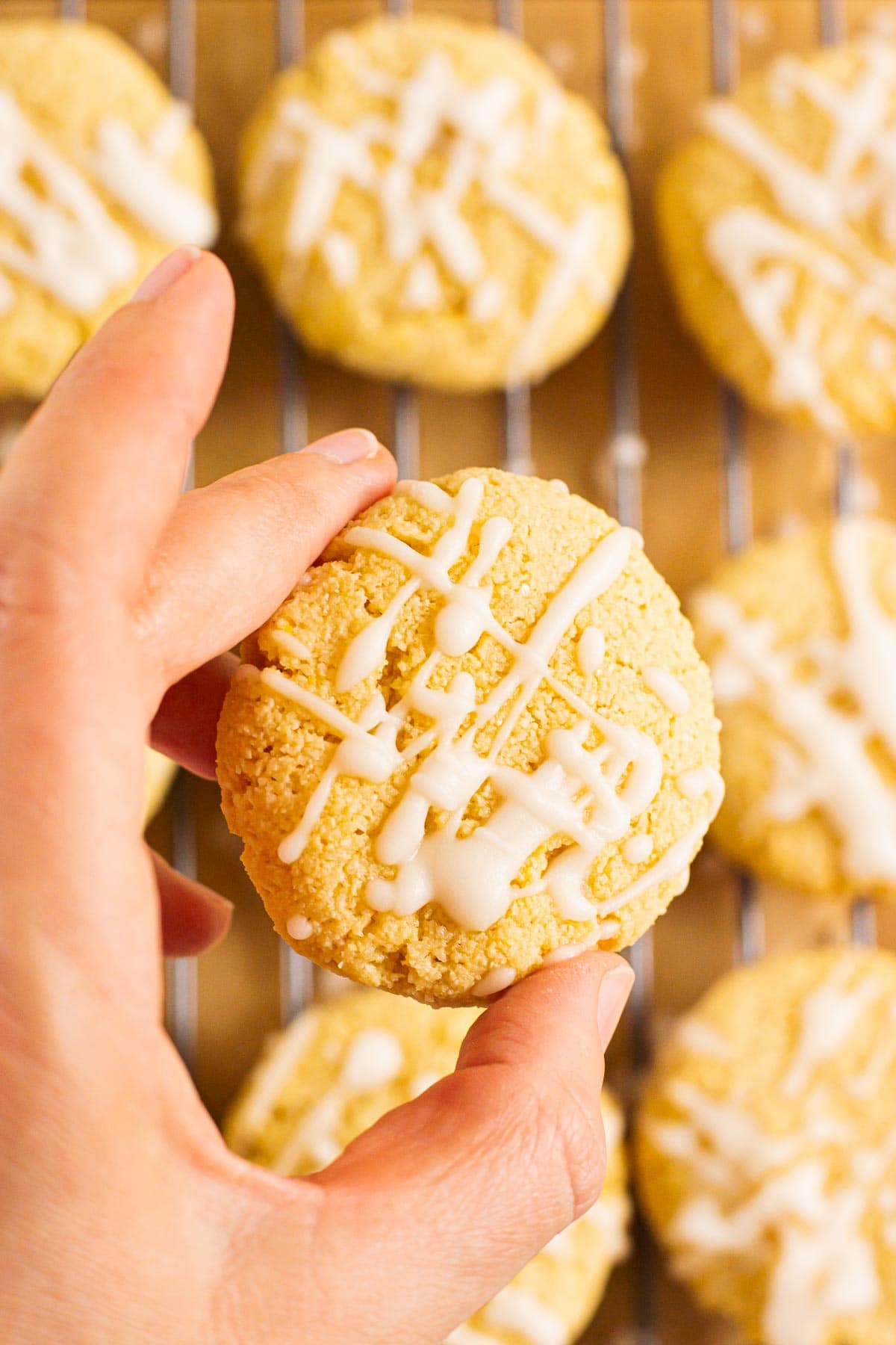 A hand holding a healthy lemon cookie above more cookies on counter.