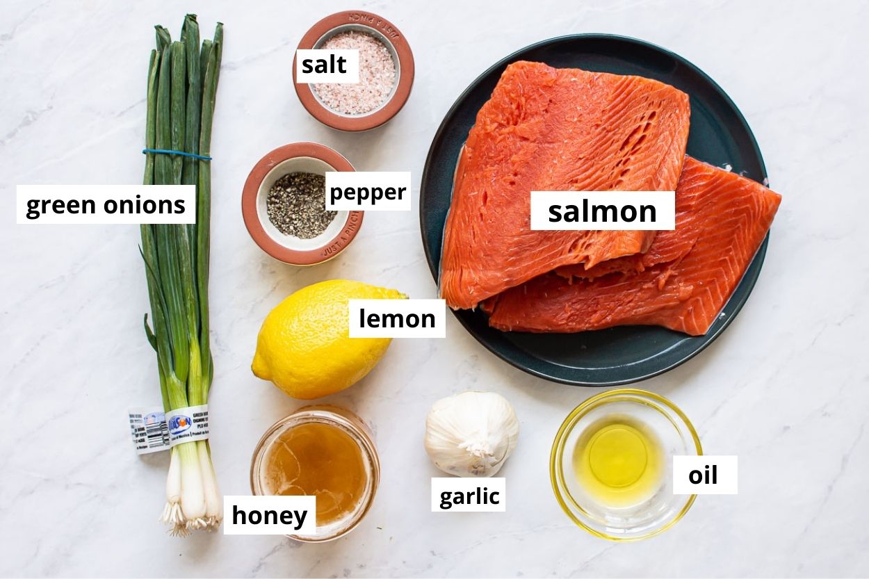 Salmon, garlic, honey, lemon, oil, green onions, salt and pepper.
