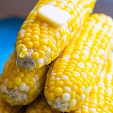 Instant Pot Corn on the Cob