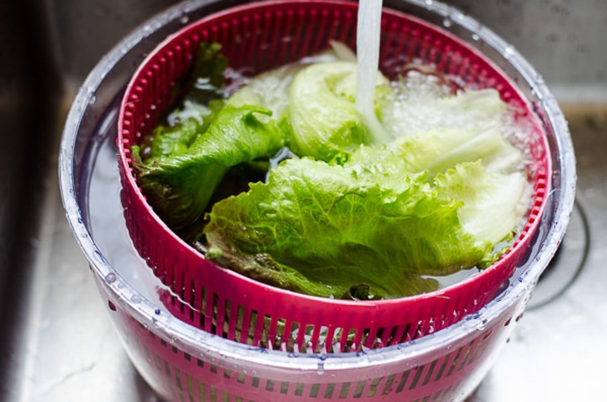 Washing lettuce under running water in salad spinner.