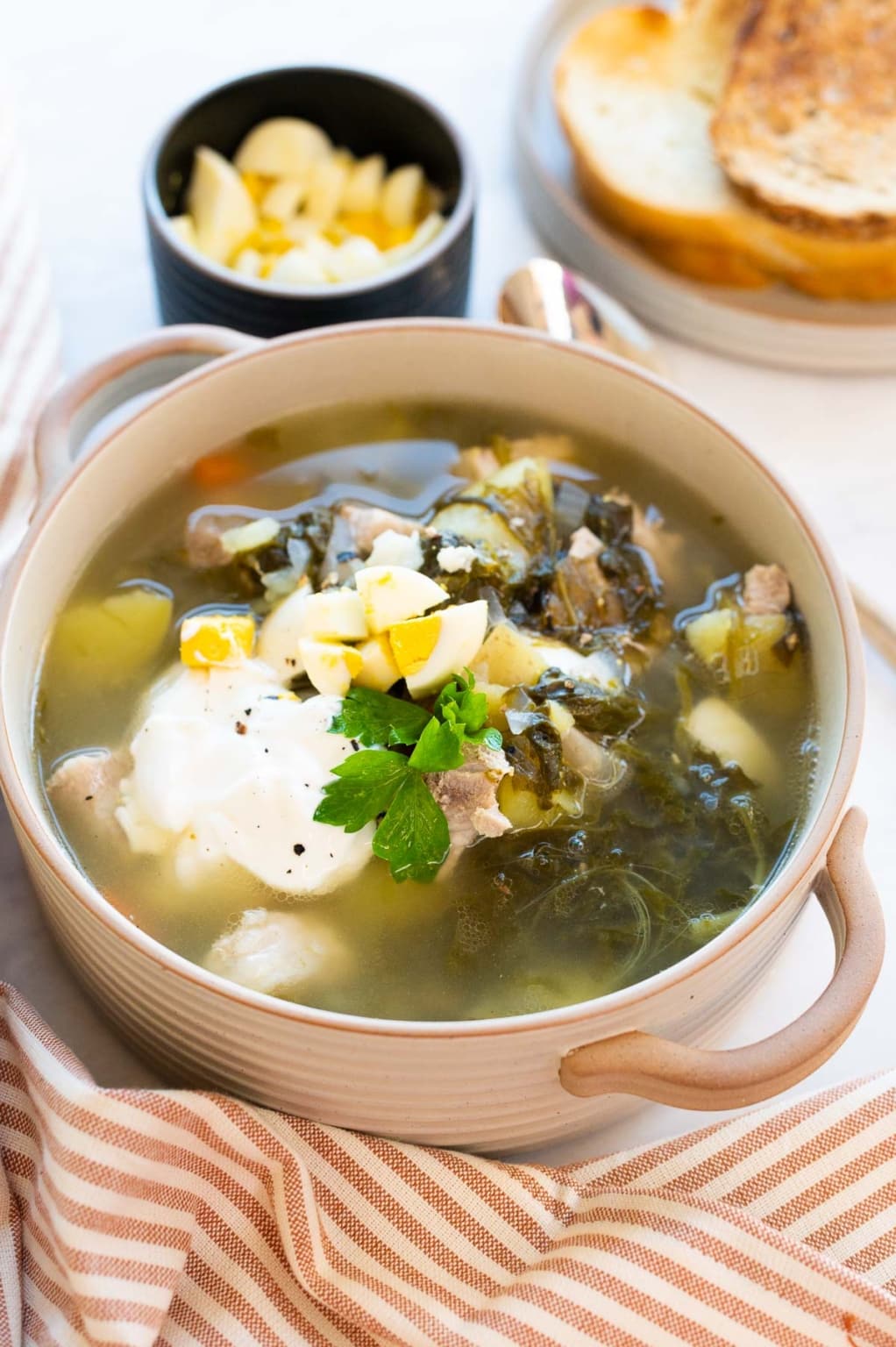 green-borscht-sorrel-soup-ifoodreal