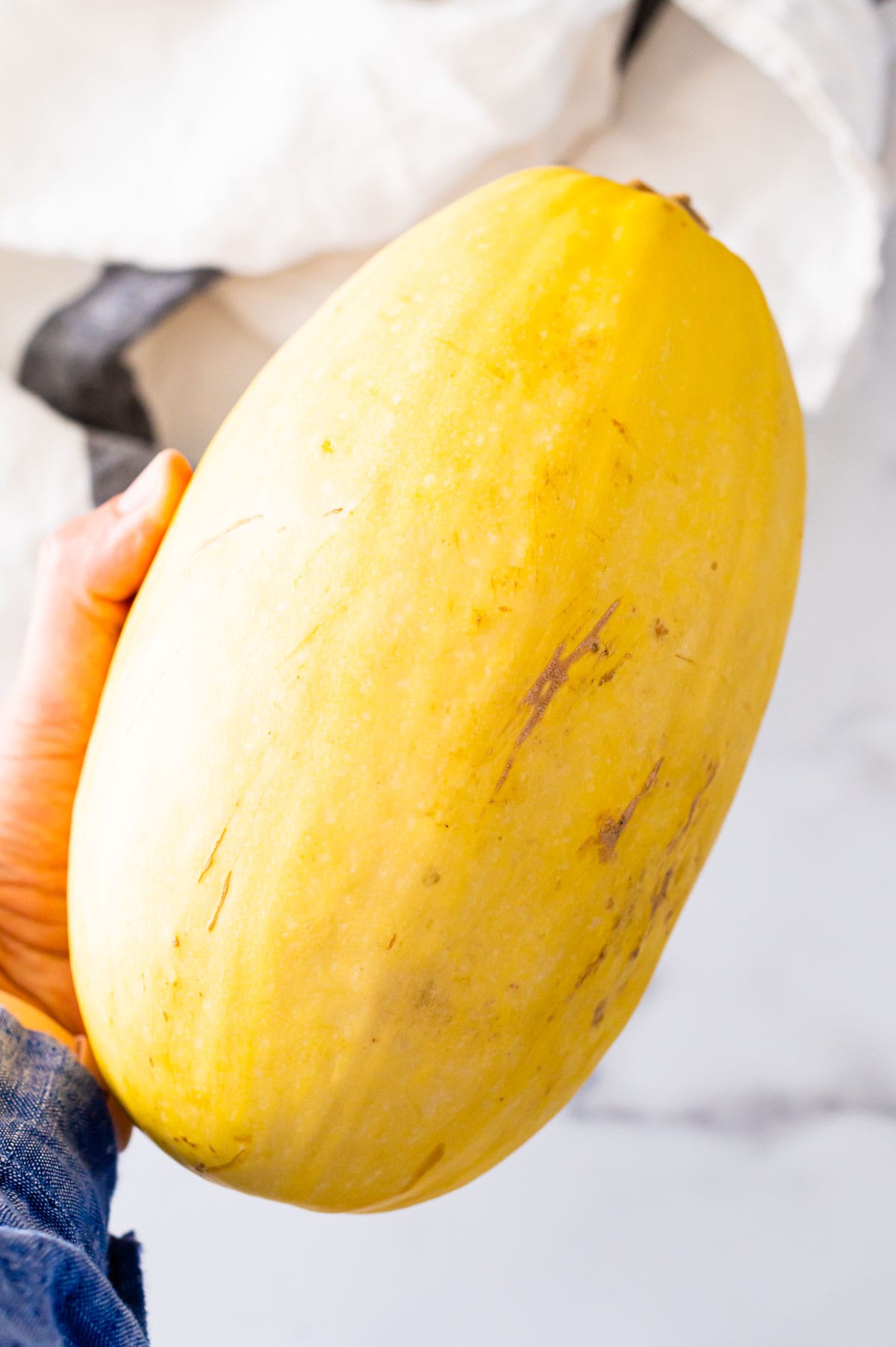 Person holding uncooked whole spaghetti squash in hand.