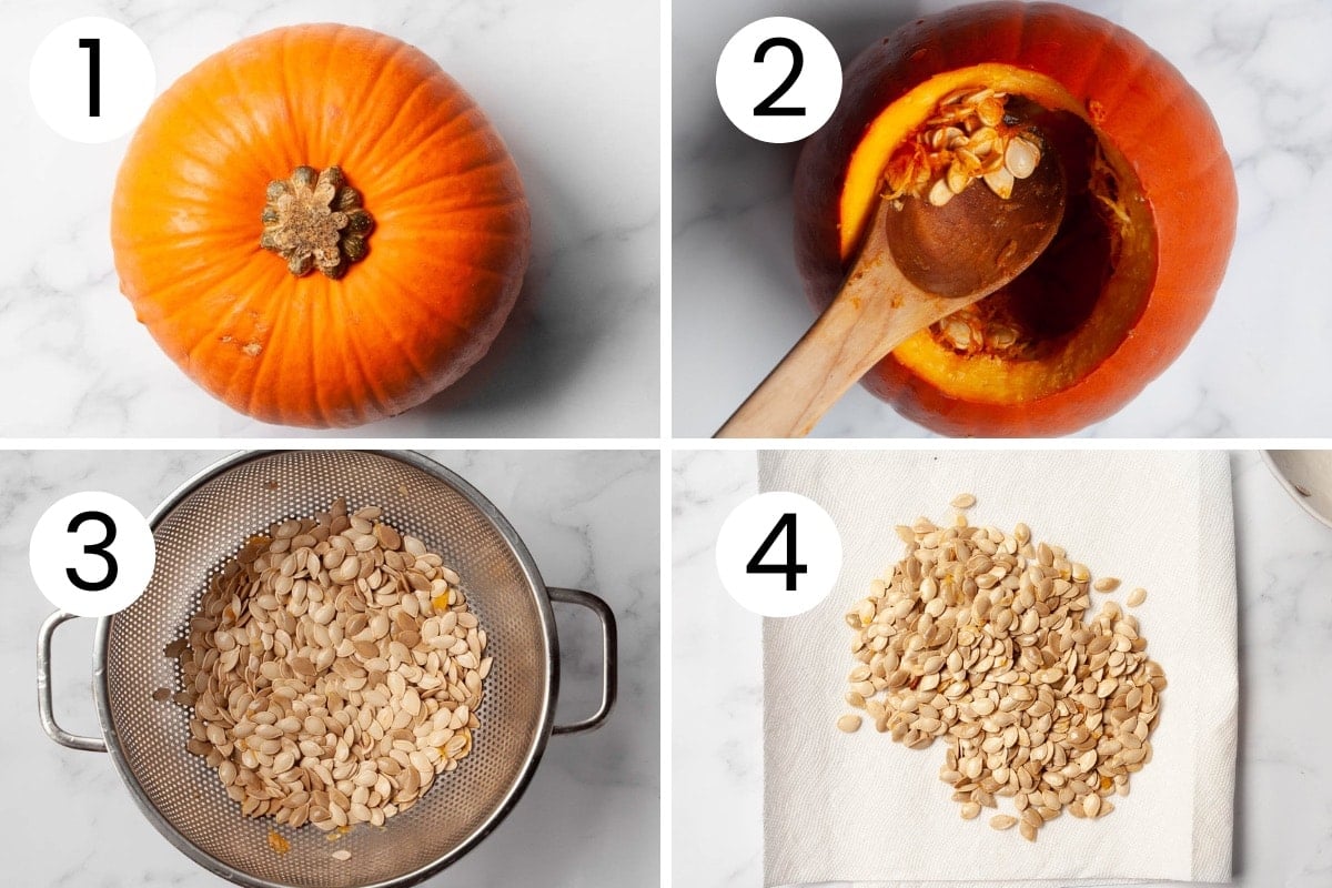 Step by step collage showing how to clean pumpkin seeds from a pumpkin.