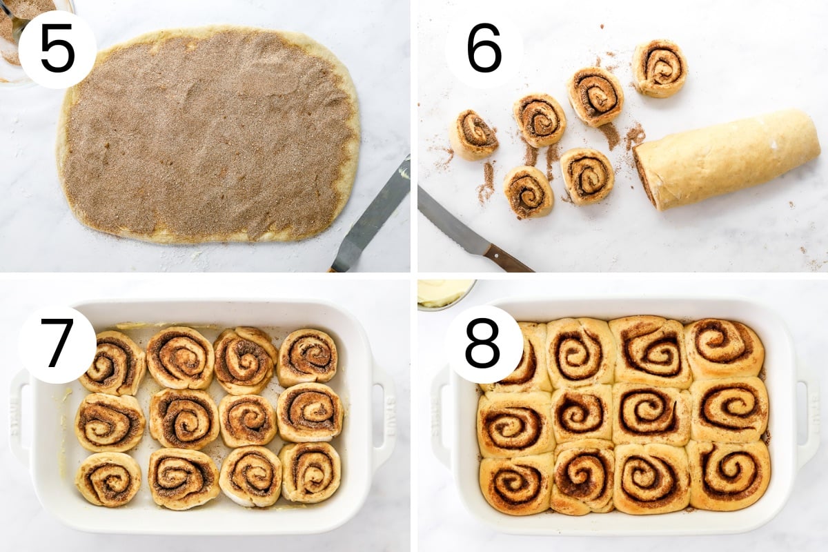 How to roll and cut whole wheat cinnamon rolls step by step.