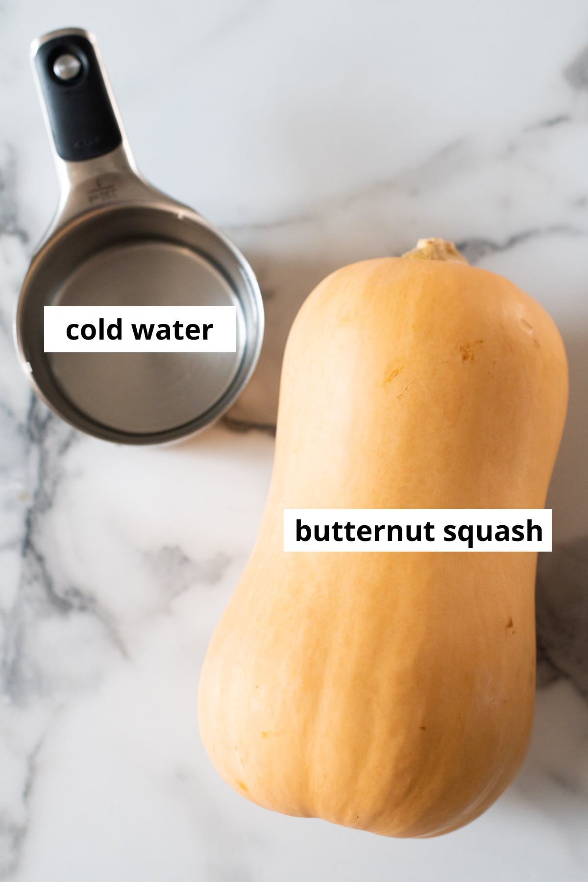 A whole butternut squash and cold water in measuring cup.