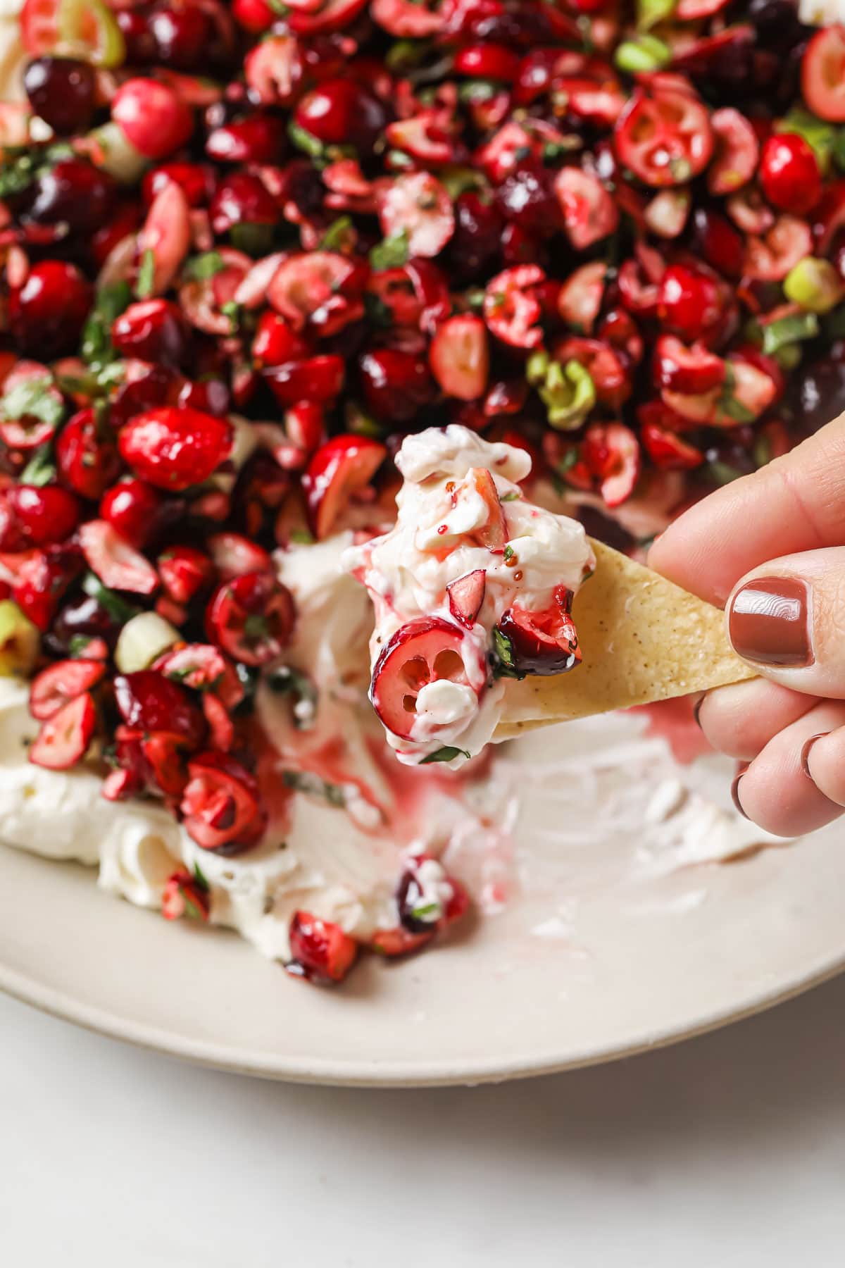 Cranberry Jalapeno Cream Cheese Dip 