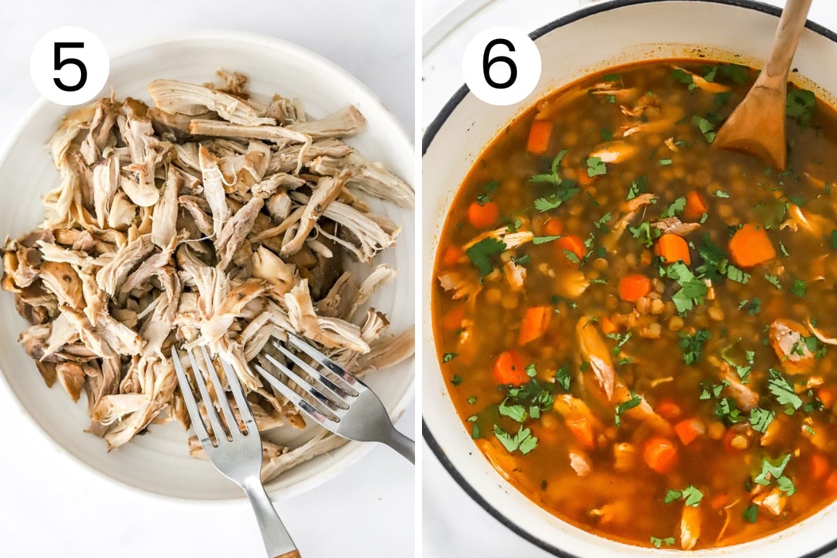 Shredded chicken on a plate and soup in a pot.