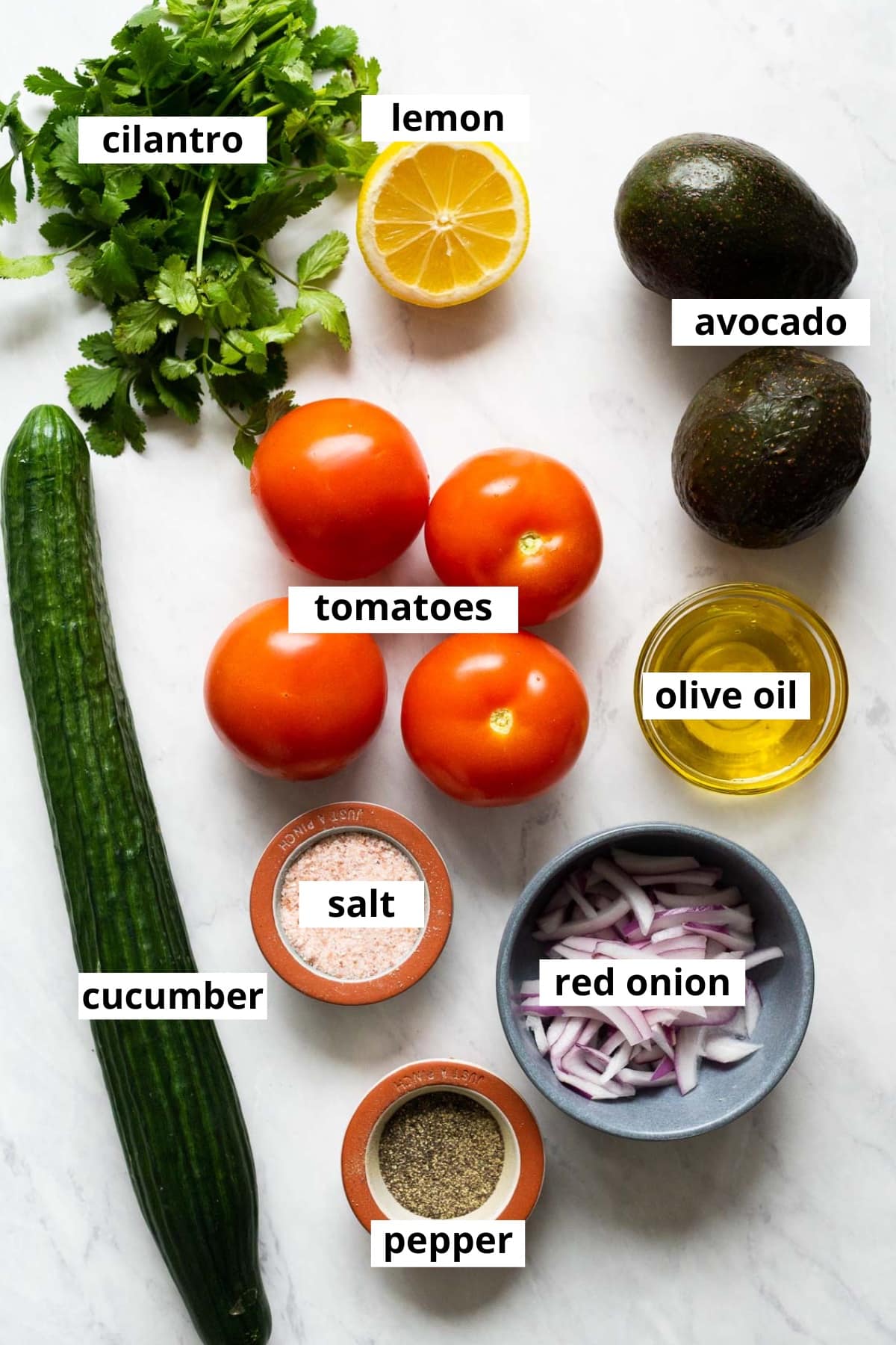 Long English cucumber, tomatoes, avocado, lemon, cilantro, red onion olive oil, salt, pepper.