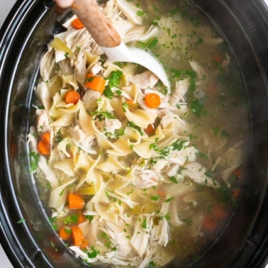 slow cooker chicken noodle soup