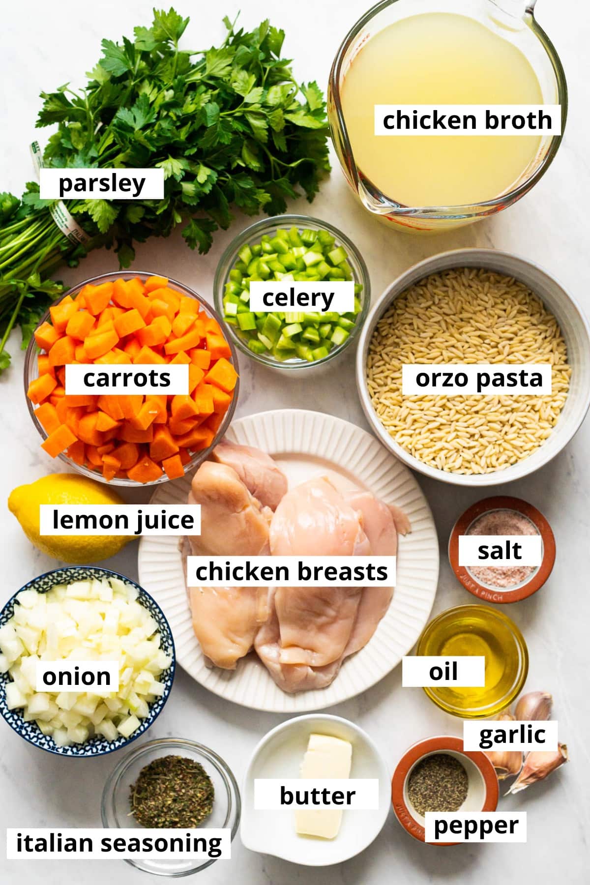 Chicken breasts, chicken broth, orzo pasta, carrots, celery, onion, garlic, parsley, lemon, butter, Italian seasoning, oil, salt and pepper.