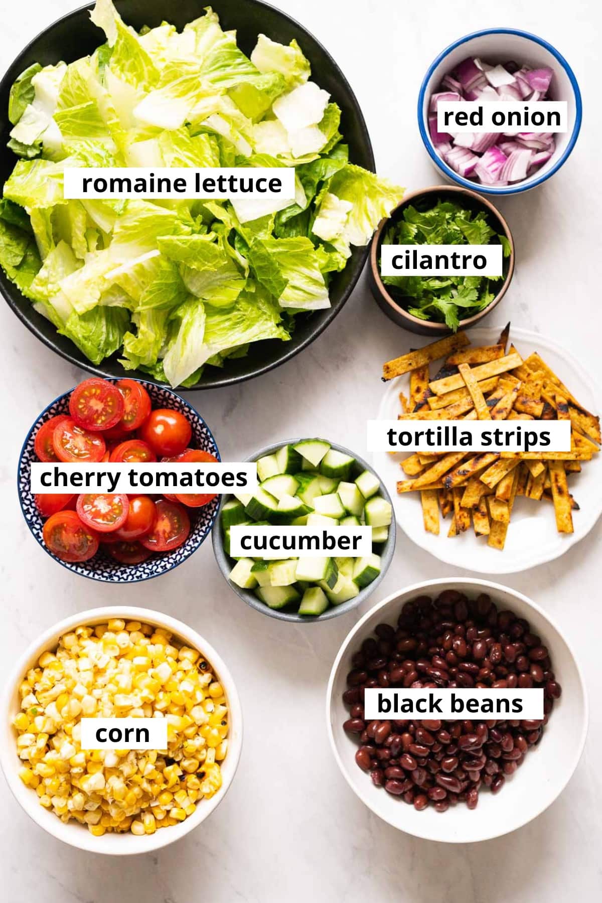 Romaine lettuce, cilantro, red onion, cherry tomatoes, cucumber, tortilla strips, black beans, corn.
