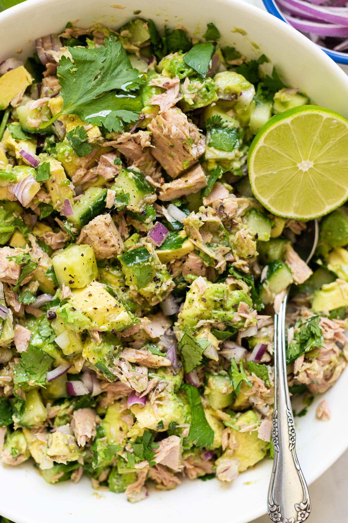 Close up of avocado tuna salad with red onion, cilantro and cucumber.