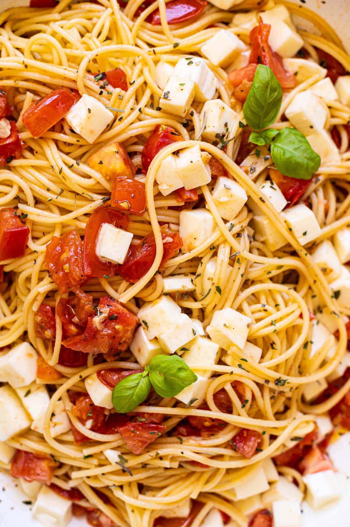 Close up of spaghetti pasta caprese with tomatoes, spices, fresh mozzarella and basil.