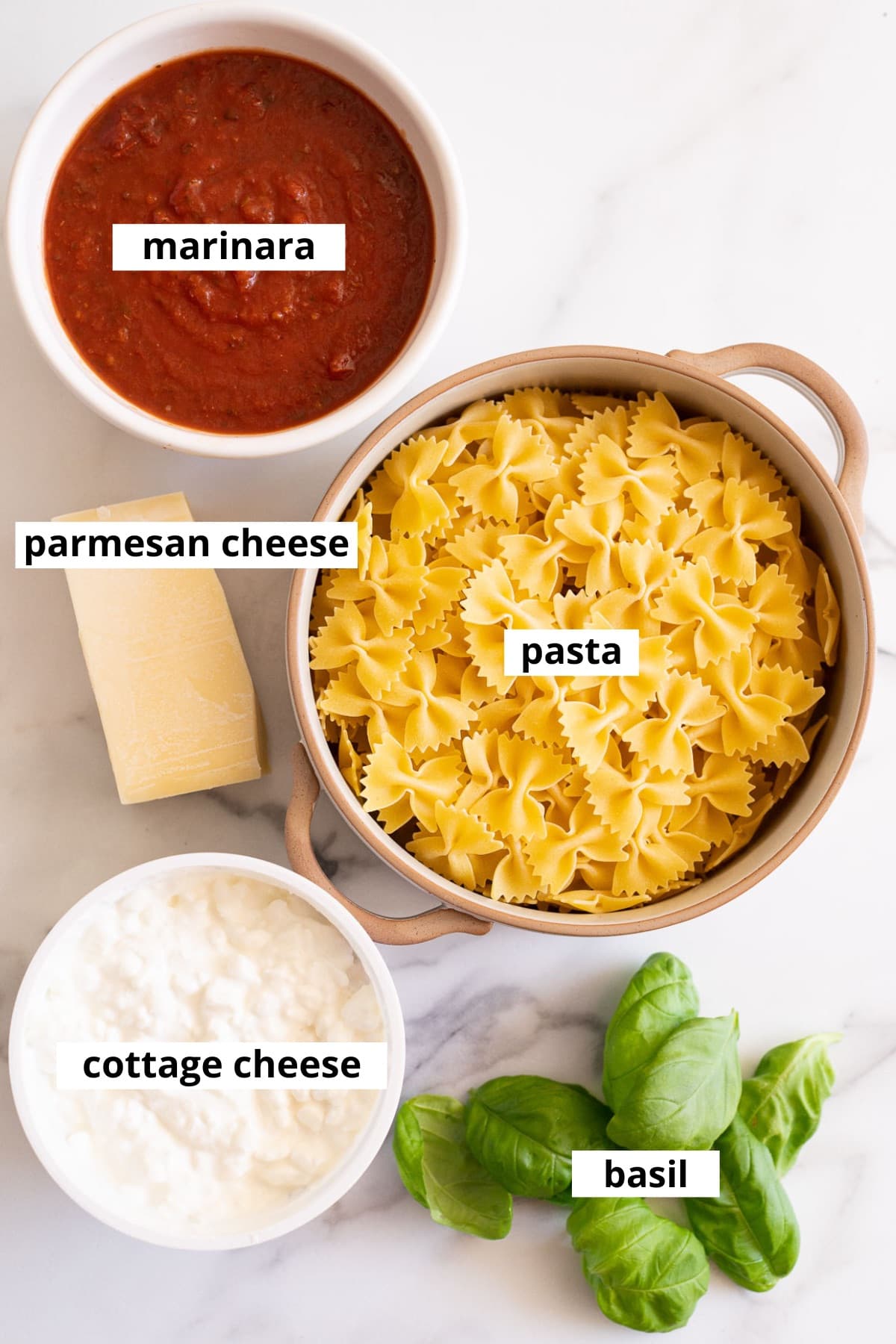 Bow ties pasta, marinara sauce, parmesan cheese, cottage cheese, fresh basil.