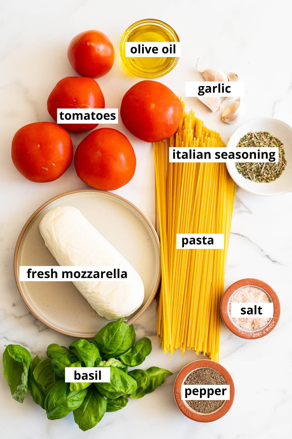 Tomatoes, garlic, spaghetti, olive oil Italian seasoning, fresh mozzarella cheese, fresh basil, salt and pepper.