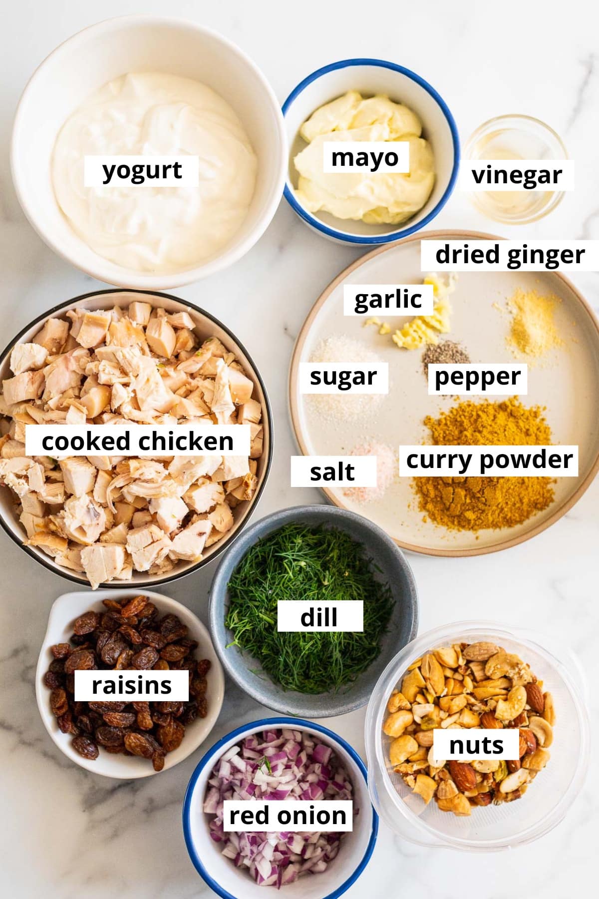 Yogurt, mayo, vinegar, dried ginger, garlic, sugar, salt, pepper, curry powder, cooked chicken, dill, raisins, red onion, nuts.