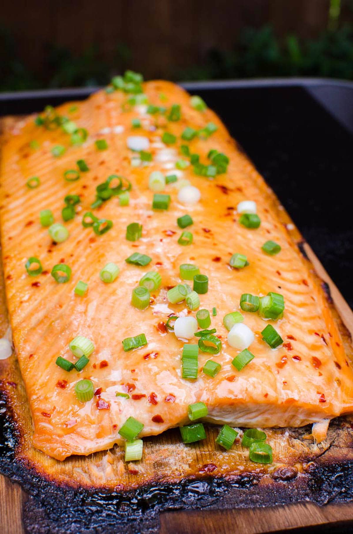 Grilled salmon fillet on a cedar plank coated in sauce and garnished with green onion.