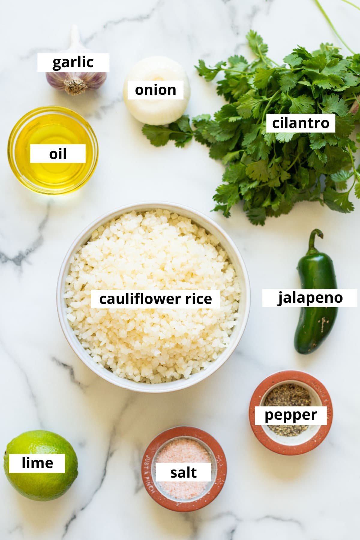 Cauliflower rice, cilantro, onion, garlic, oil, jalapeno, lime, salt and pepper.