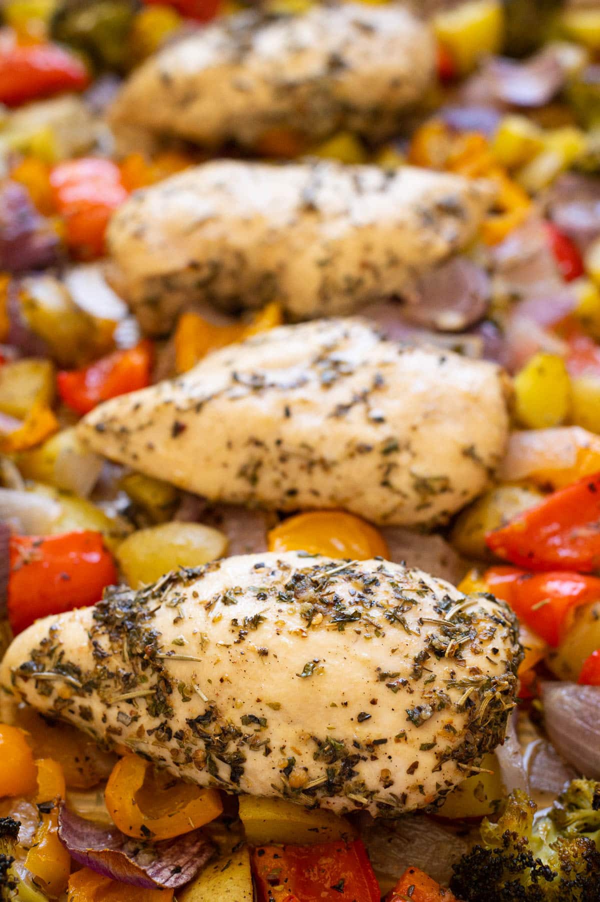 One Pan Chicken & Vegetables ⋆ Real Housemoms