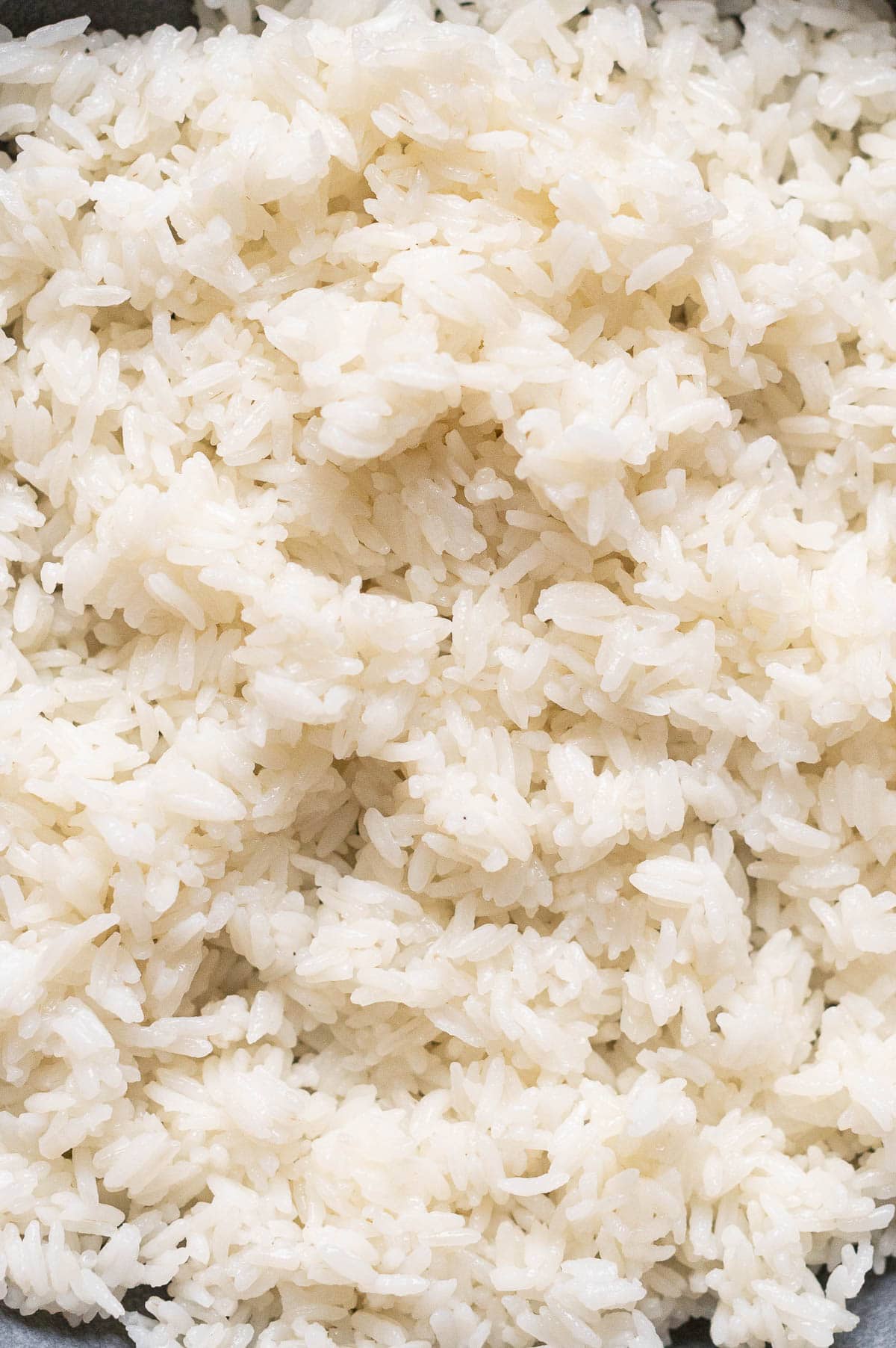 Close up of cooked rice in pressure cooker.