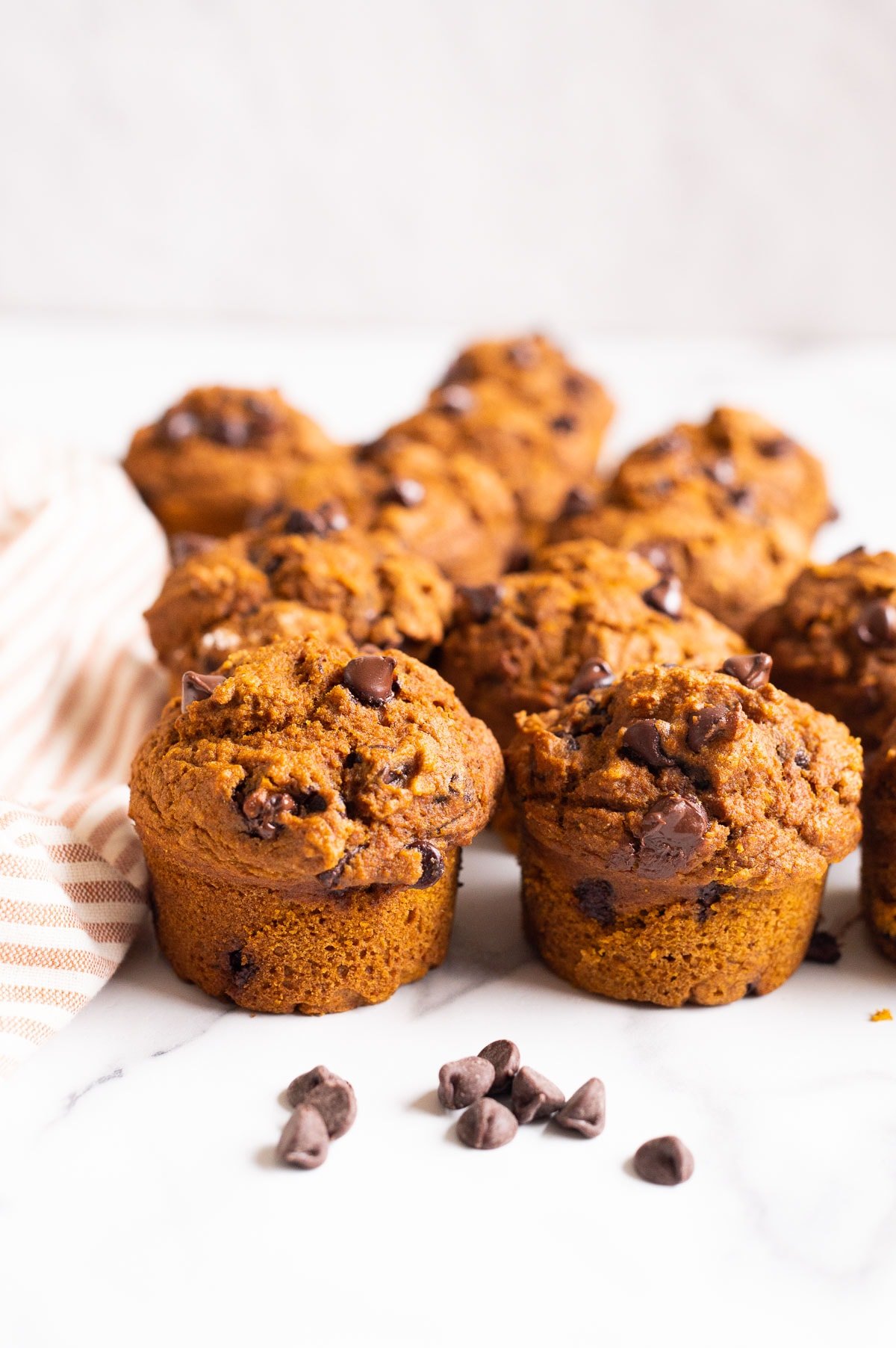 12 pumpkin chocolate chip muffins and a few chocolate chips around them with linen towel on a countertop.