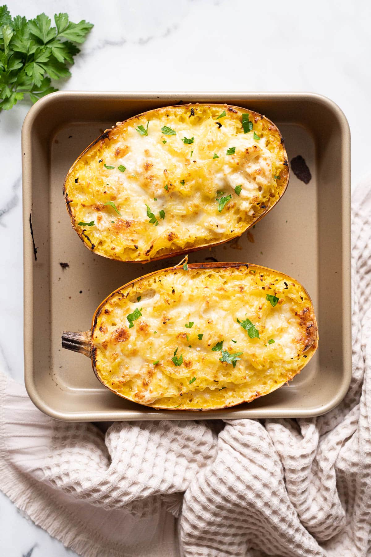 Chicken alfredo spaghetti squash halves garnished with parsley on a baking sheet.