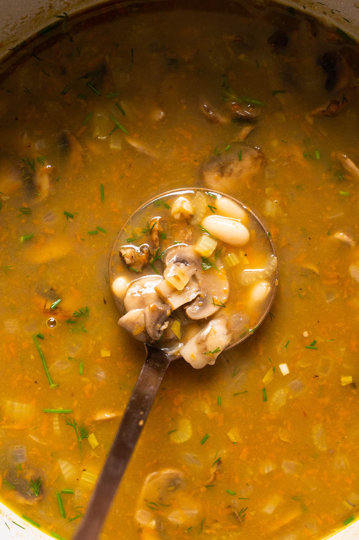 Closeup of bean mushroom soup on a ladle.