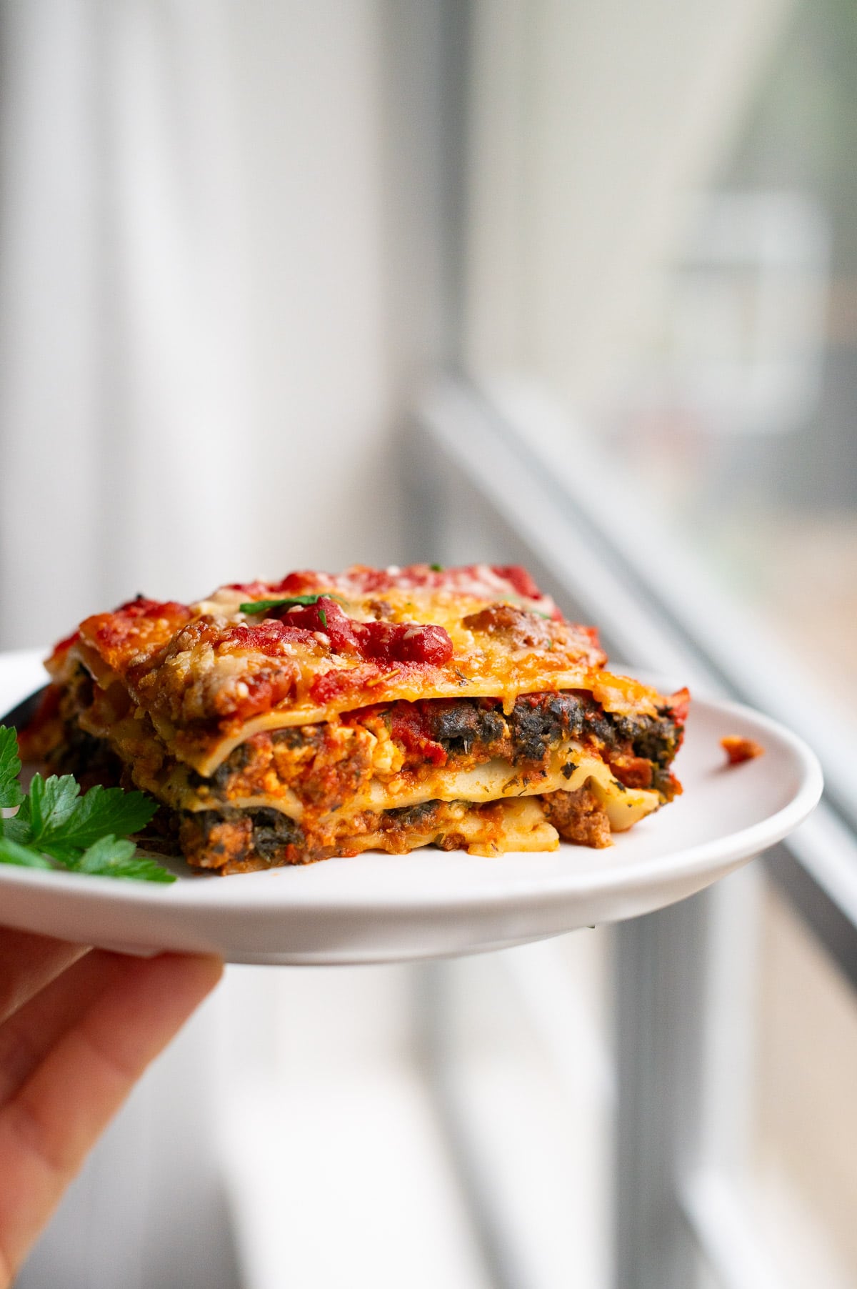 Person holding plate with a slice of lasagna recipe with cottage cheese.