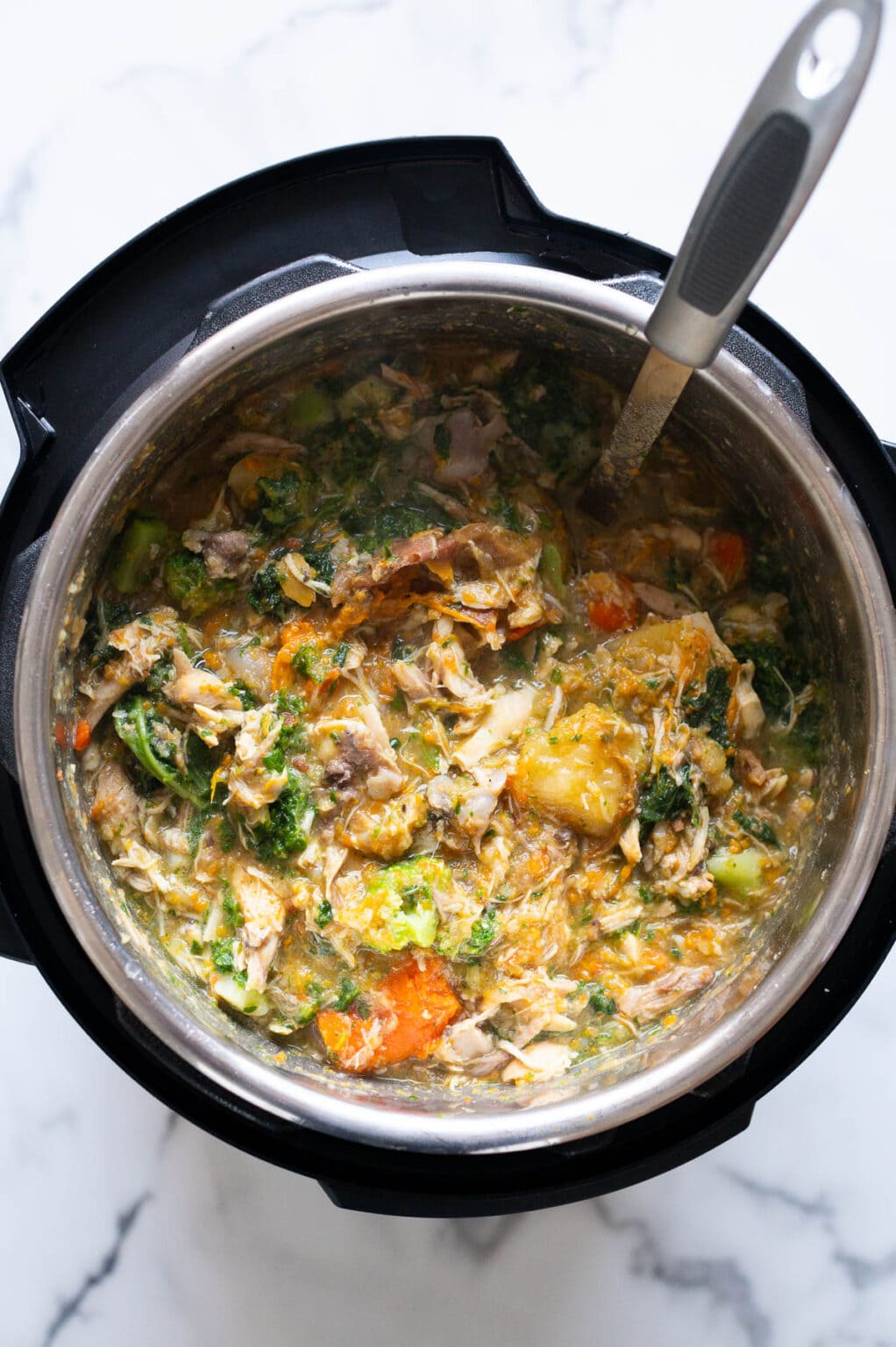 Homemade Instant Pot Dog Food Recipe