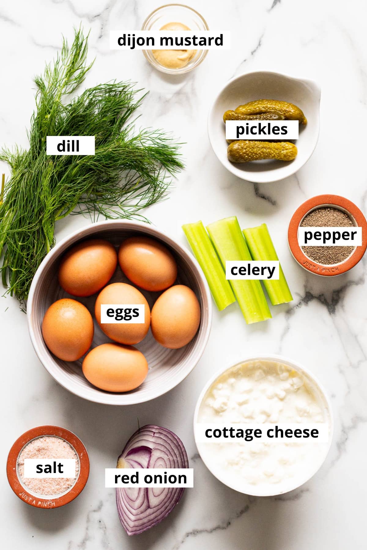 Dill, dijon mustard, pickles, salt, pepper, celery, eggs, cottage cheese, red onion, salt.