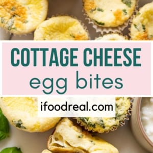 Cottage cheese egg bites pin