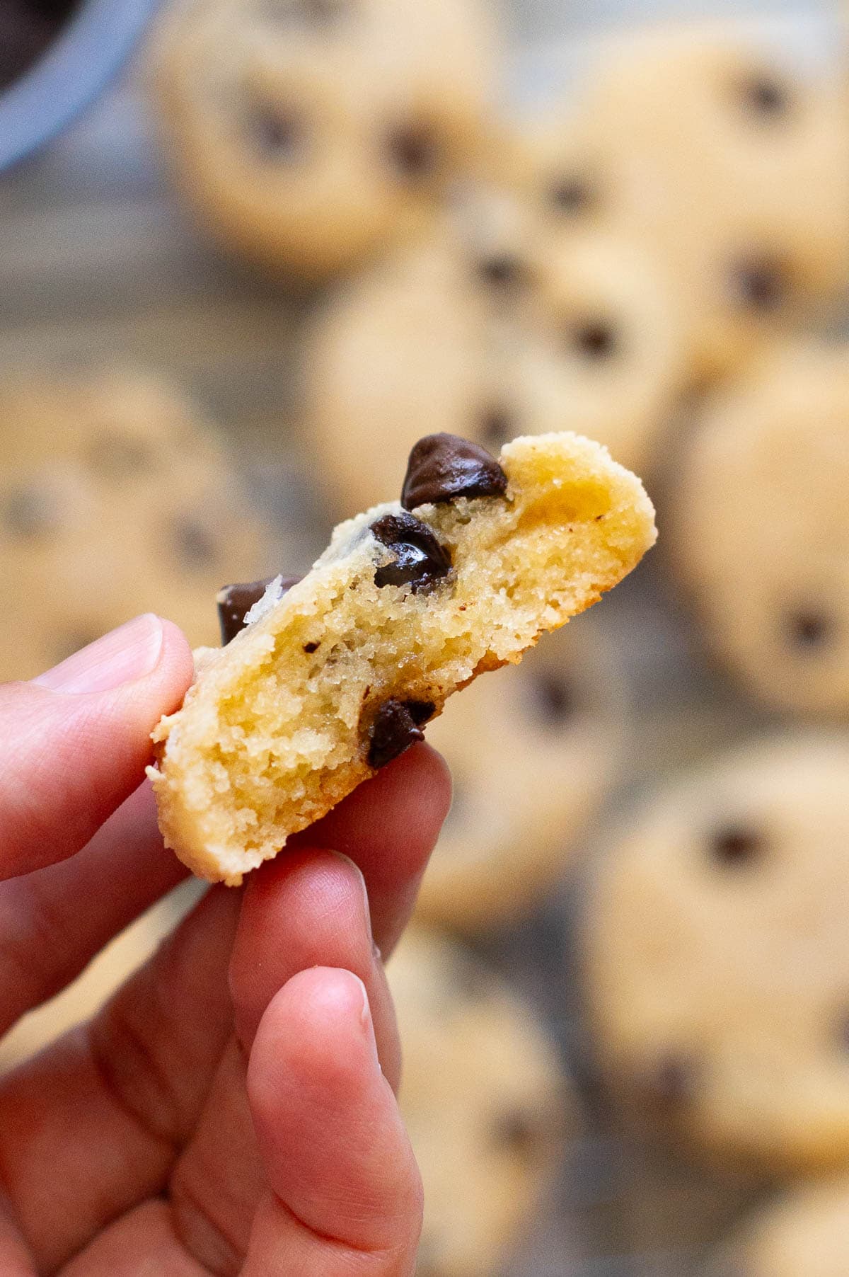 Person holding half of the cookie showing texture inside.